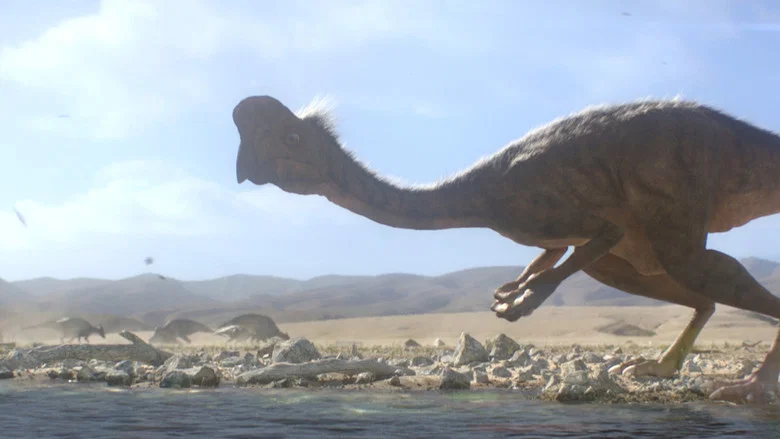 Citipati screenshot 1