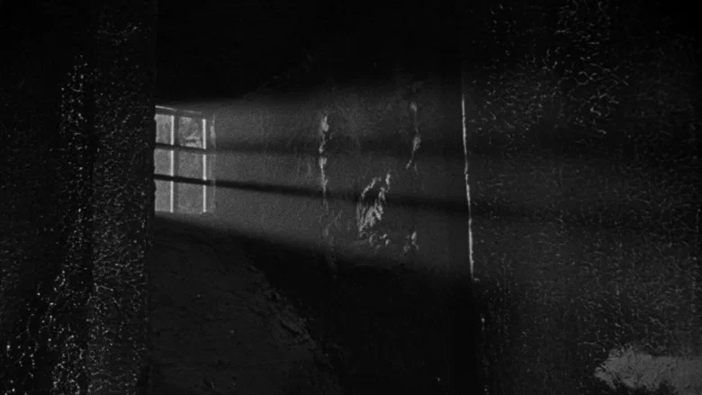 The Playgirls and the Vampire screenshot 7