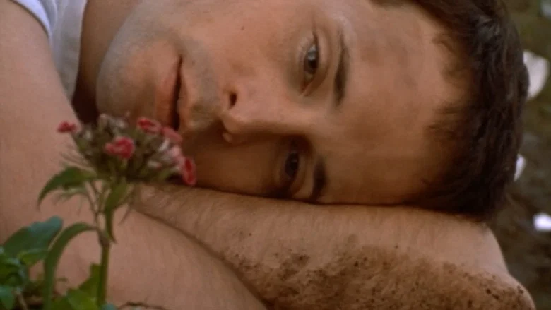 The Hanging Garden screenshot 5