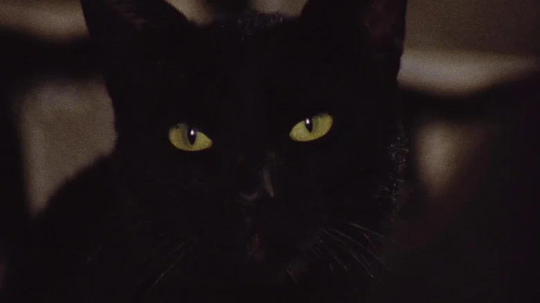 The Black Cat screenshot 5