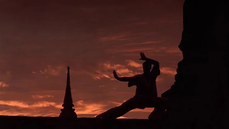 Kickboxer screenshot 6