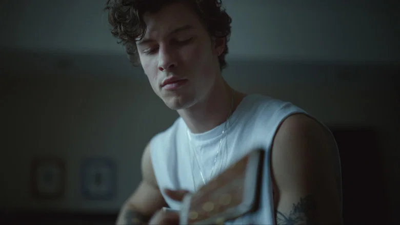 Shawn Mendes: In Wonder screenshot 5