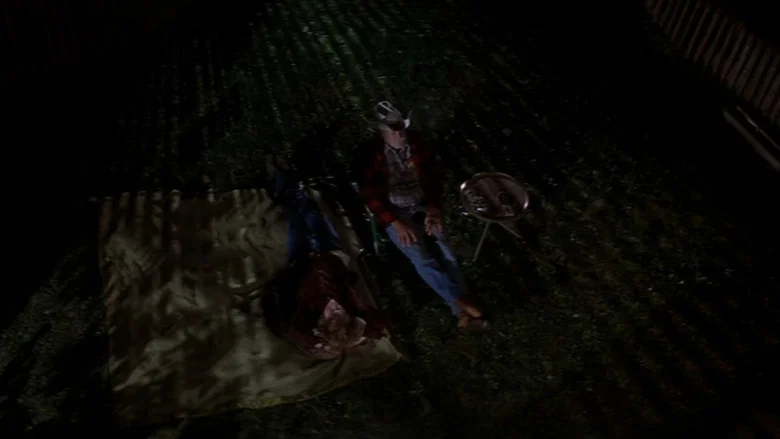 The Straight Story screenshot 7