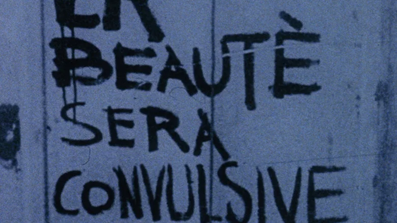 A Film Like Any Other screenshot 1