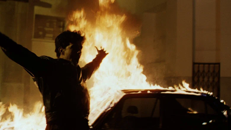 Casanegra screenshot 4