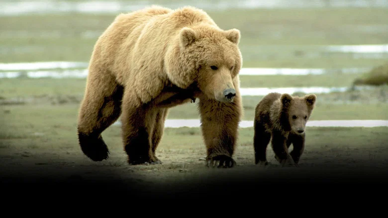 Grizzly Man screenshot 7