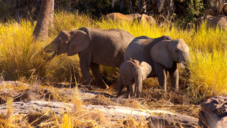 Namibia, Sanctuary of Giants screenshot 4