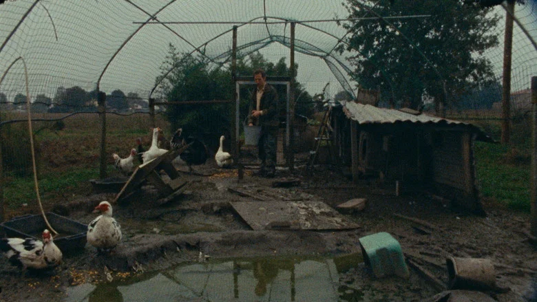 Kràlik screenshot 3