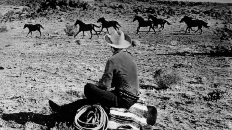 Six Black Horses screenshot 4