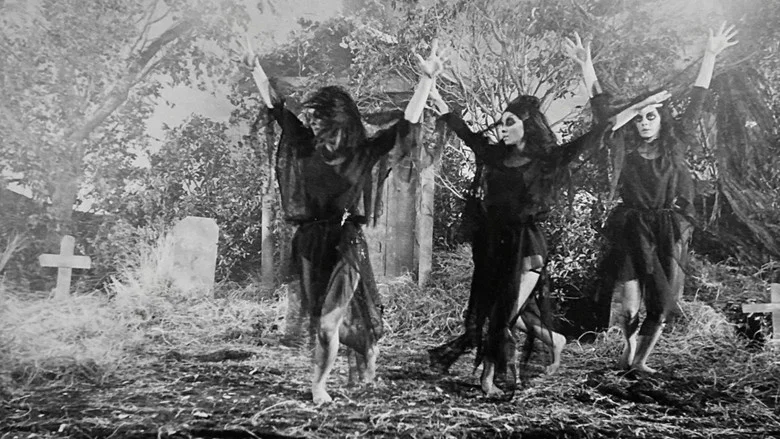 The Undead screenshot 6