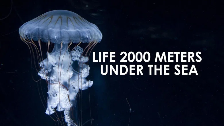 Life 2,000 Meters Under the Sea screenshot 1