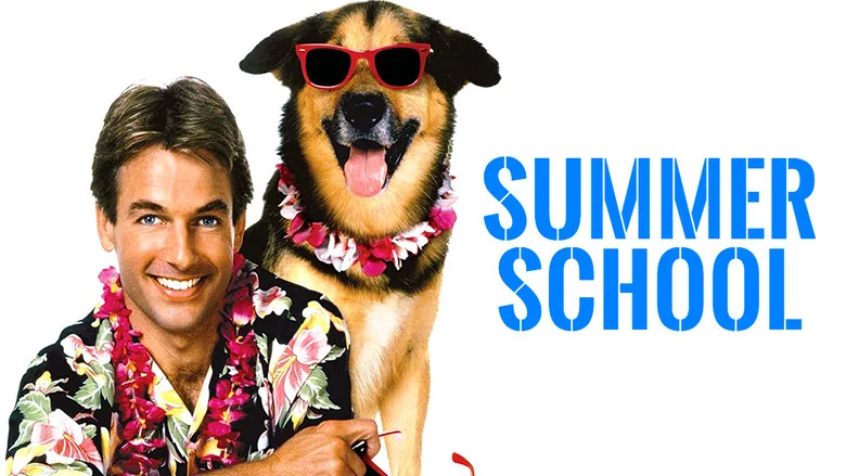 Summer School screenshot 8