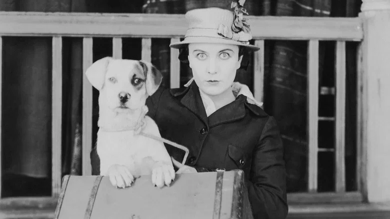 A Dog's Life screenshot 7