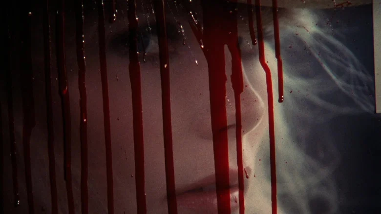 Star 80 screenshot 2
