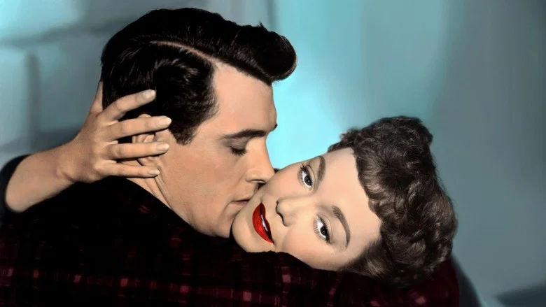 All That Heaven Allows screenshot 6