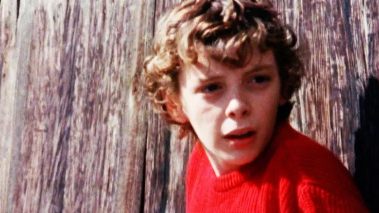 Terry on the Fence screenshot 1