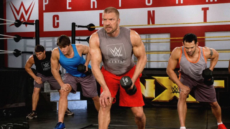 WWE Power Series: Triple H screenshot 2
