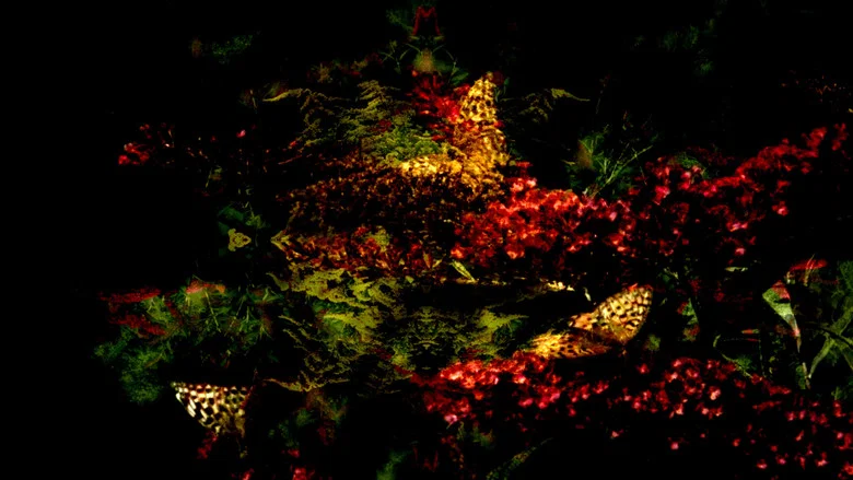 Butterfly 360° screenshot 1