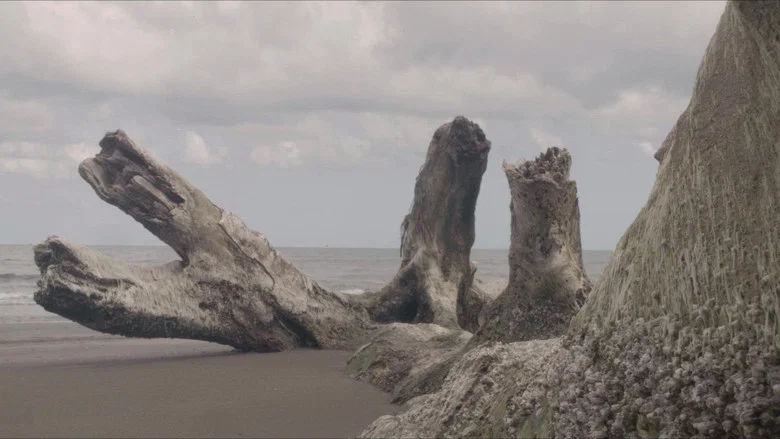 Saved From The Waters screenshot 2