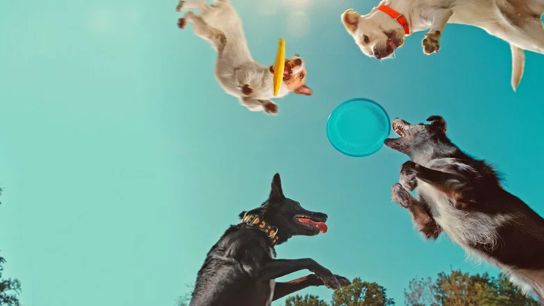 Inside the Mind of a Dog screenshot 2