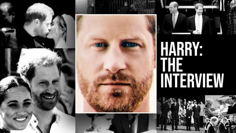 Harry: The Interview screenshot 1