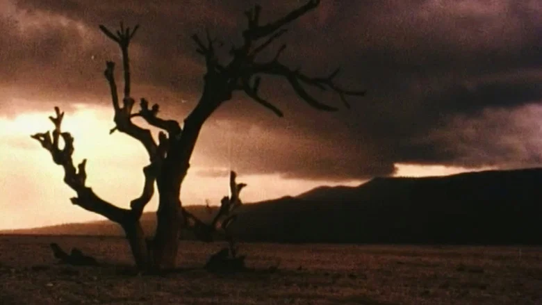 The White Funeral screenshot 4