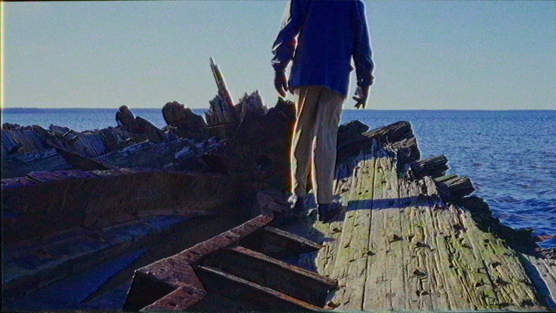 The Terror of the Gulls screenshot 1