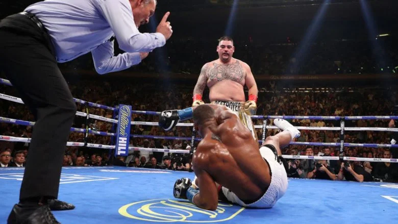 One Night: Joshua vs. Ruiz screenshot 5