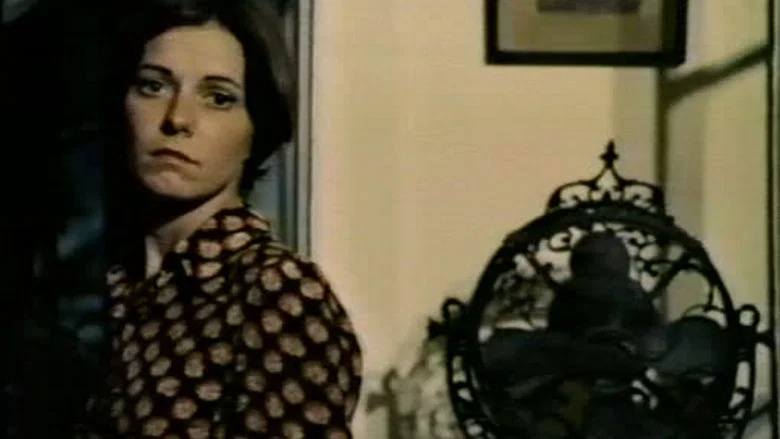 Mirrors screenshot 1