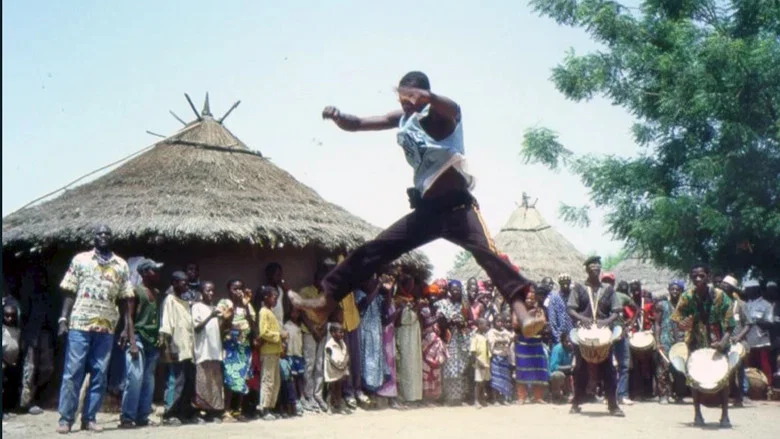Circus Baobab screenshot 1