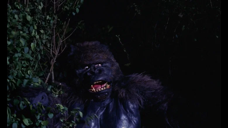 Konga screenshot 4