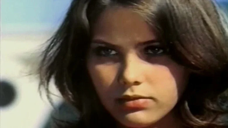 Summer Affair screenshot 3