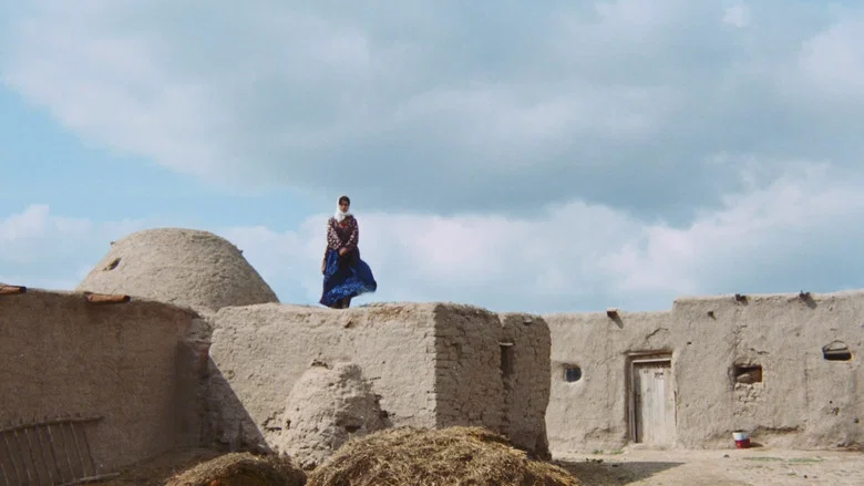 The Road screenshot 7
