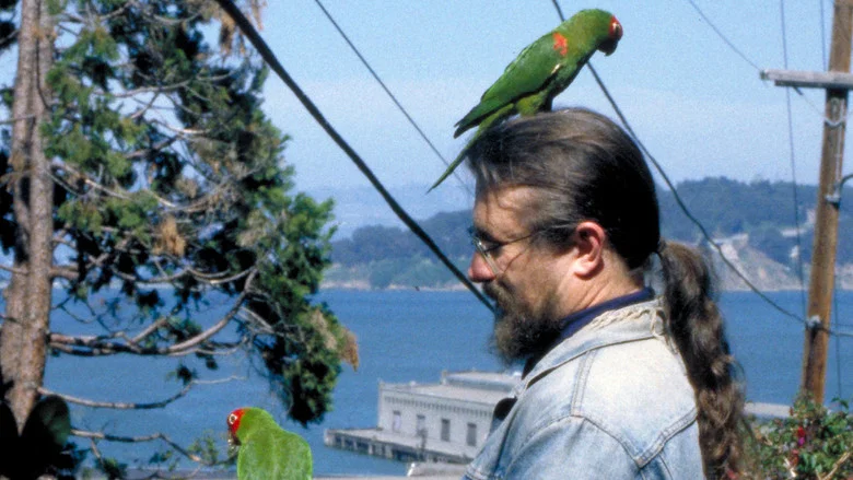 The Wild Parrots of Telegraph Hill screenshot 5