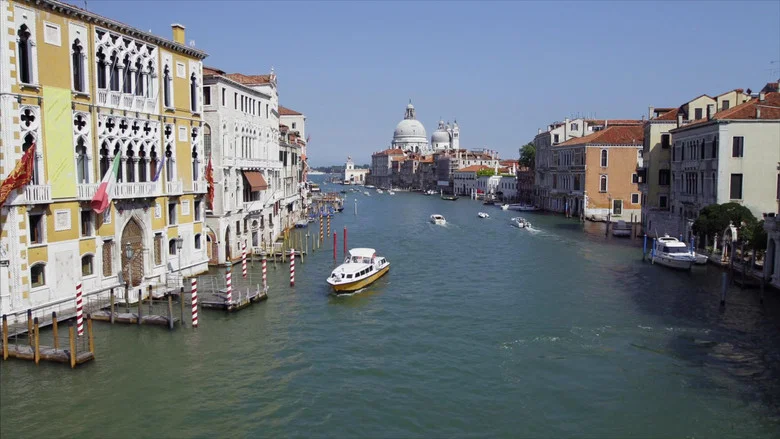 Wild Venice screenshot 3