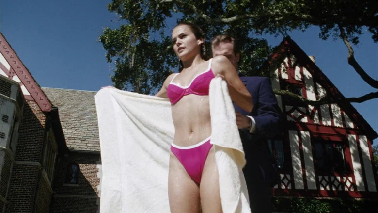 The Babysitter's Seduction screenshot 5