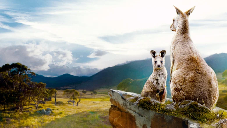 Kangaroo Valley screenshot 1