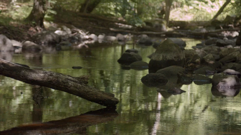 The Stream screenshot 1