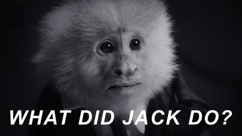 WHAT DID JACK DO? screenshot 4