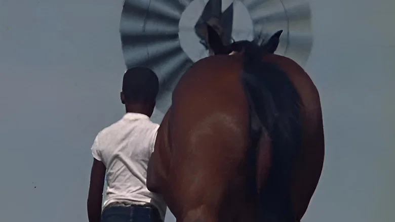The Horse screenshot 2