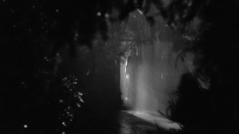 The Night Has Eyes screenshot 1