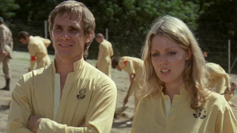 Turkey Shoot screenshot 4