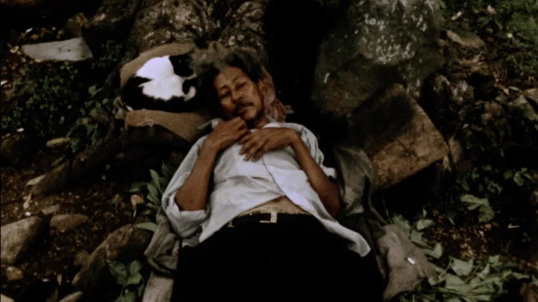La Soufrière: Waiting for an Inevitable Catastrophe screenshot 4