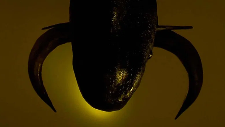 La querencia screenshot 4