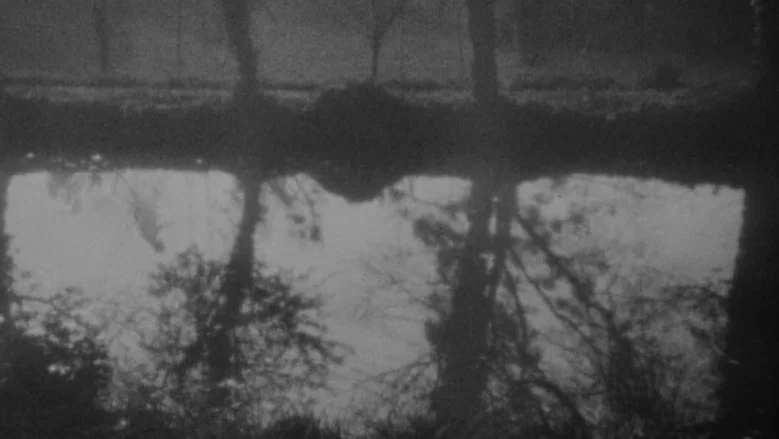 Vampyr screenshot 3