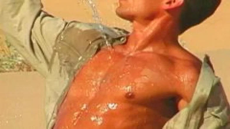 Erotic Centerfolds screenshot 1