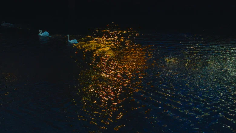 Delicacy screenshot 2