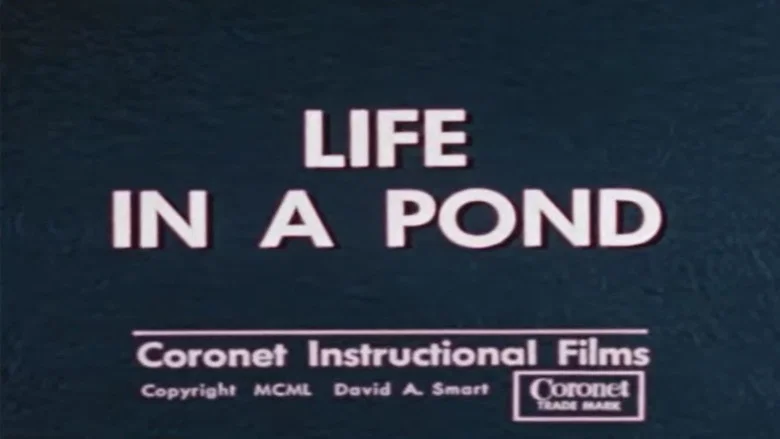 Life in a Pond screenshot 1