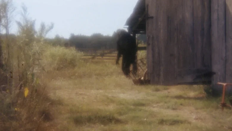 Boggy Creek II: And the Legend Continues screenshot 1