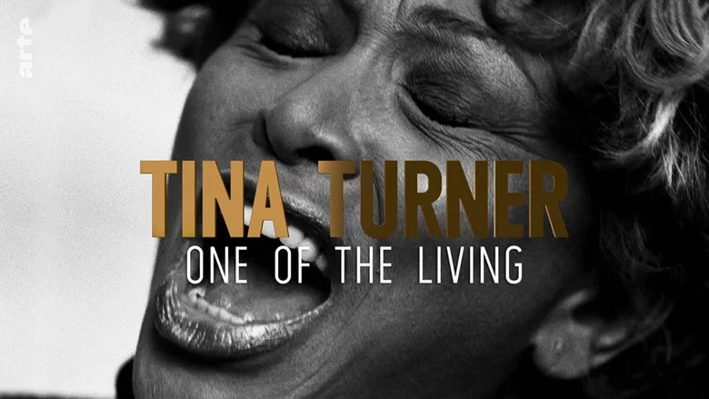 Tina Turner: One of the Living screenshot 1